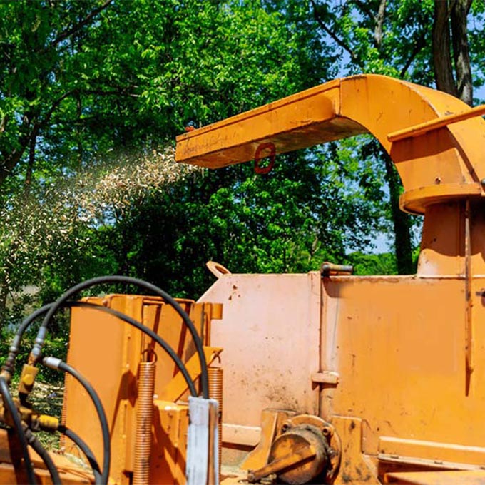A Better Cut Tree Service And More Arborist Services