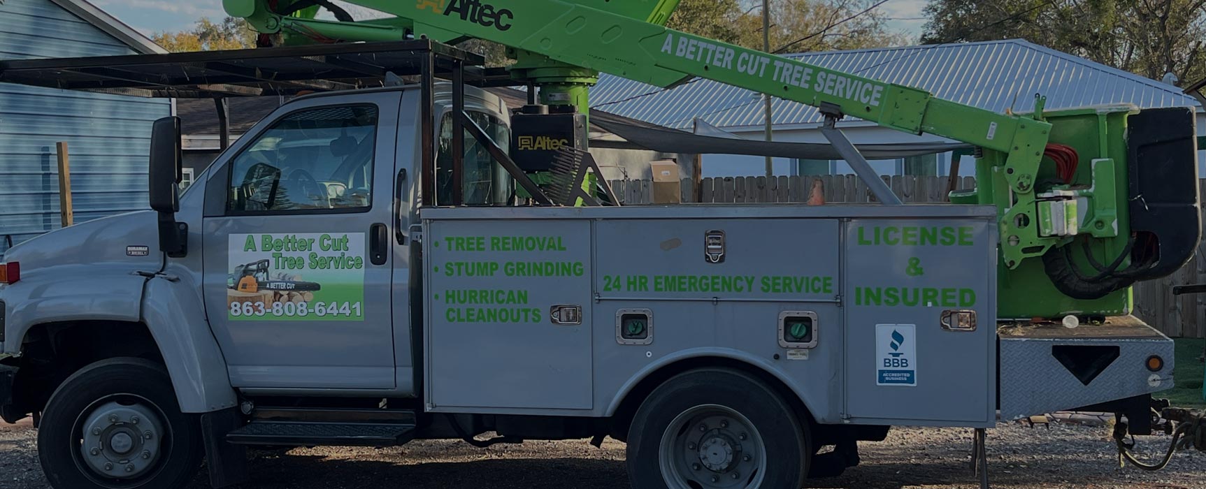 Tree Services